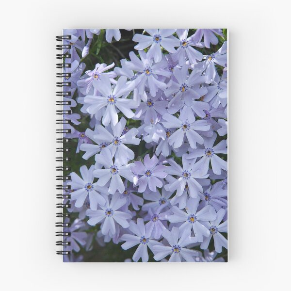 Item preview, Lots O' Phlox! designed and sold by bunnij.