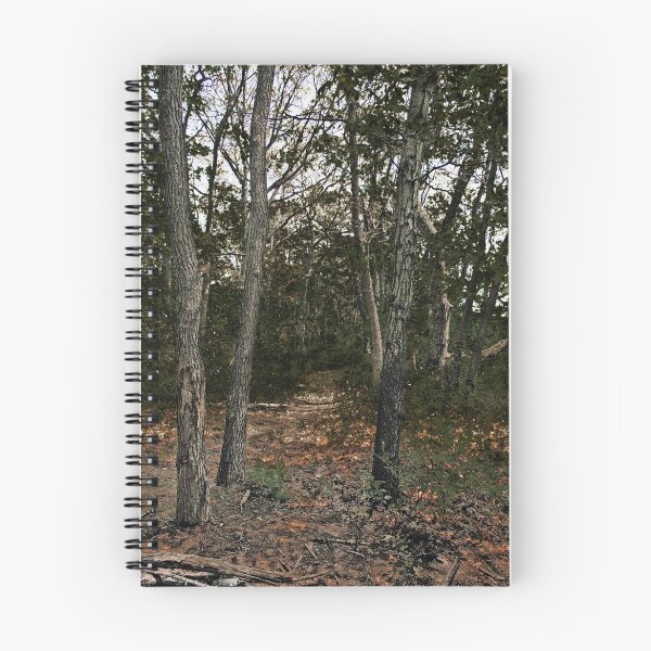 Item preview, Woods designed and sold by Jimmy Burns.