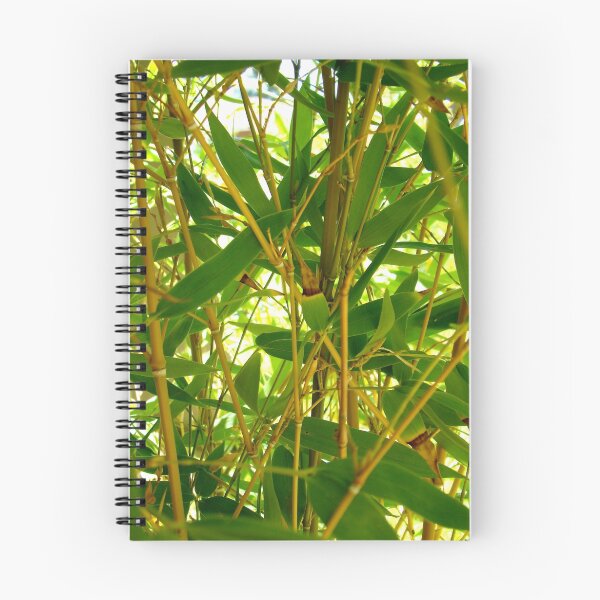 Item preview, bamboo designed and sold by Jan Stead JEMproductions.