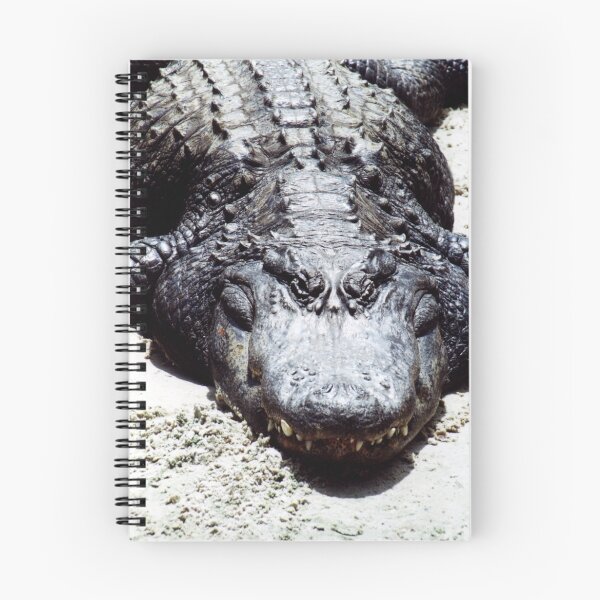 Item preview, FLORIDA ALLIGATOR designed and sold by TomBaumker.