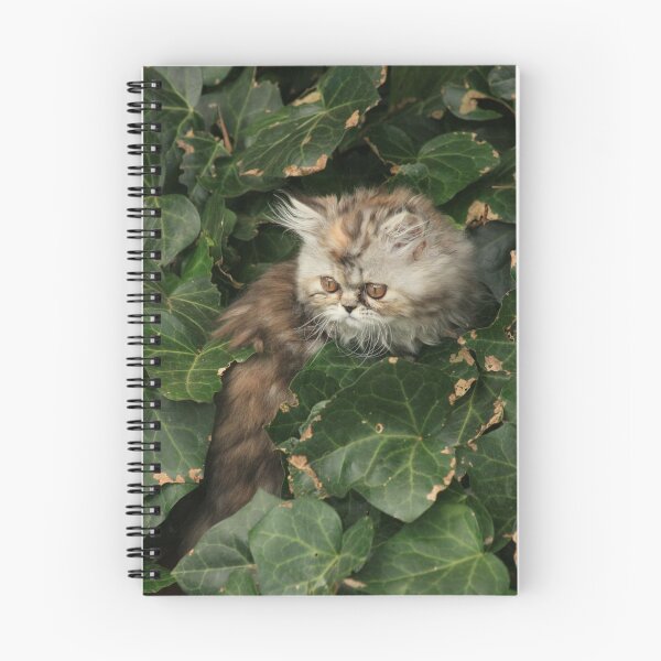 Item preview, Cat in the Vine designed and sold by OzShell.