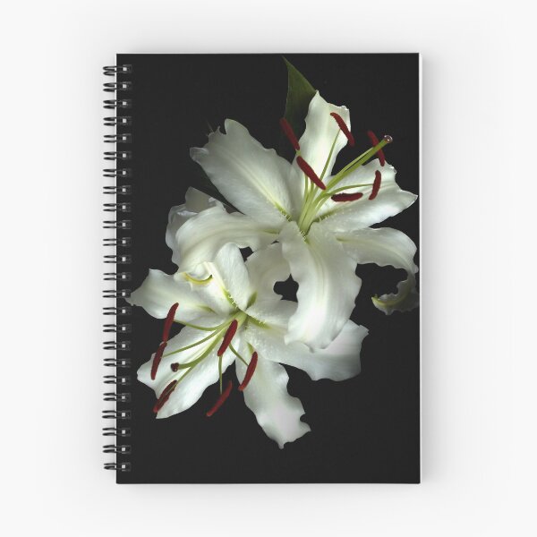 Item preview, pictures of lily designed and sold by Di Dowsett.