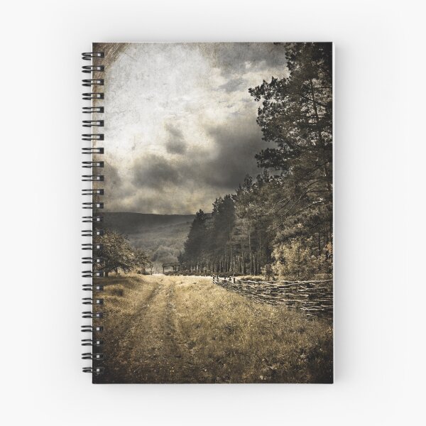 Item preview, The Path designed and sold by Ion Rosca.