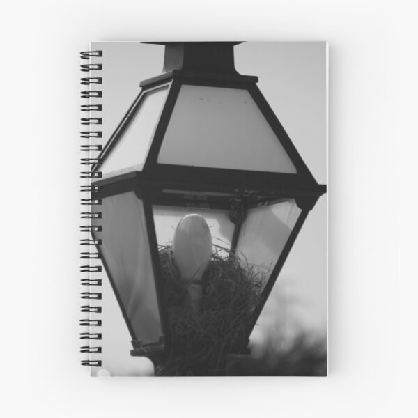 Item preview, Birdlight designed and sold by aimsjay.