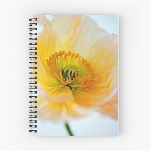 Item preview, Poppy designed and sold by salsbells69.