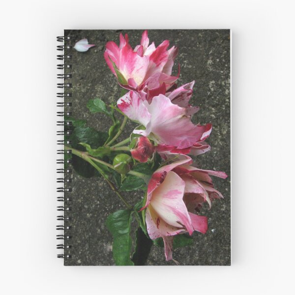 Item preview, Splayed designed and sold by Debbie Vine.