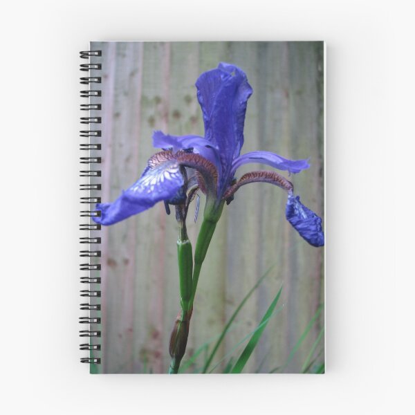 Item preview, Iris designed and sold by Debbie Vine.