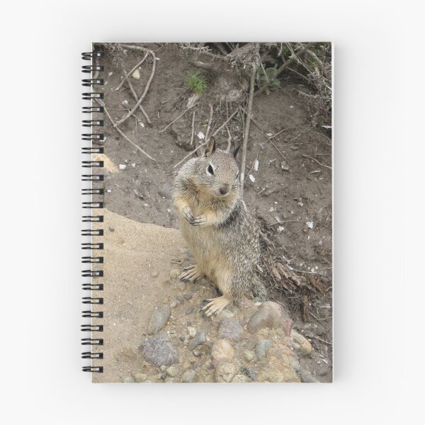 Item preview, Squirrel designed and sold by Rugirl.