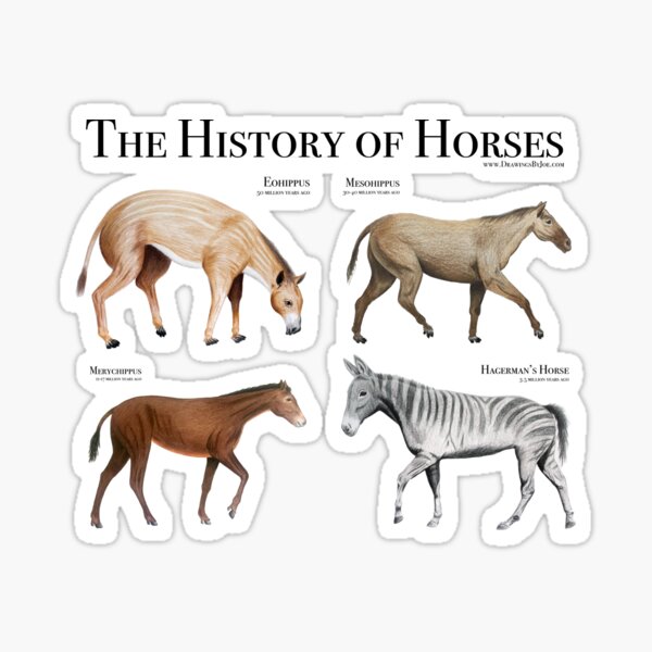 History of Horses Sticker