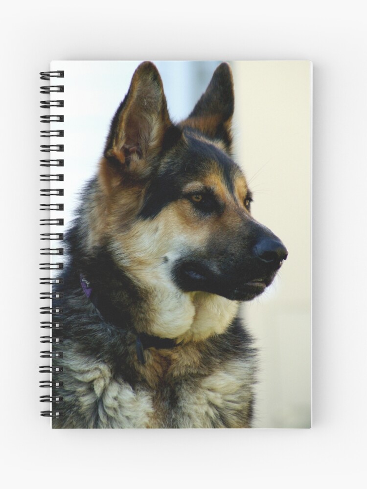 German Shepherd X Kelpie Spiral Notebook By Sachapacker Redbubble