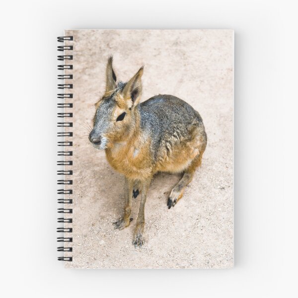 Artikelvorschau, Mystery rabbit? entworfen und verkauft von Juha Sompinmaeki.