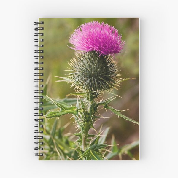 Item preview, Thistle designed and sold by EvaMcDermott.