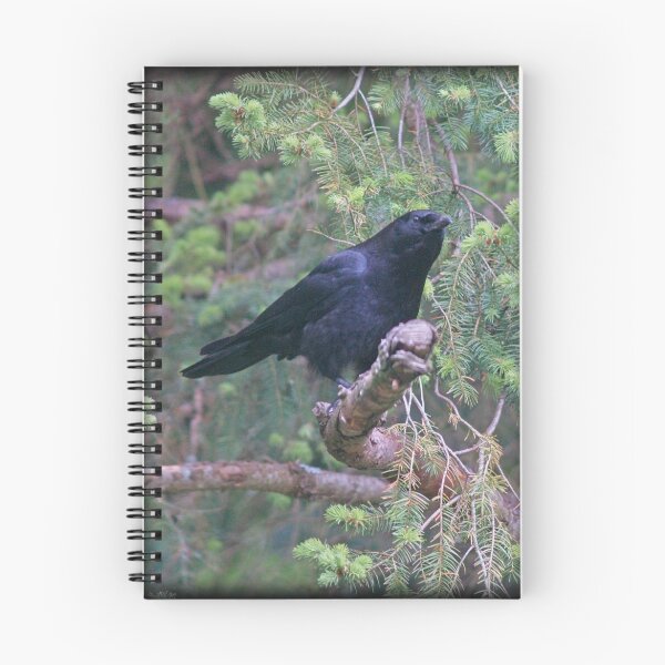 Item preview, CROW designed and sold by Dayonda.