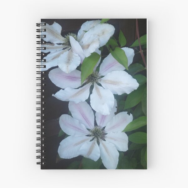 Aperçu de l'œuvre Clematis créée et vendue par Ffion Rees.