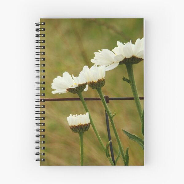 Item preview, Daisies by the Fence designed and sold by Vanessa Webb.