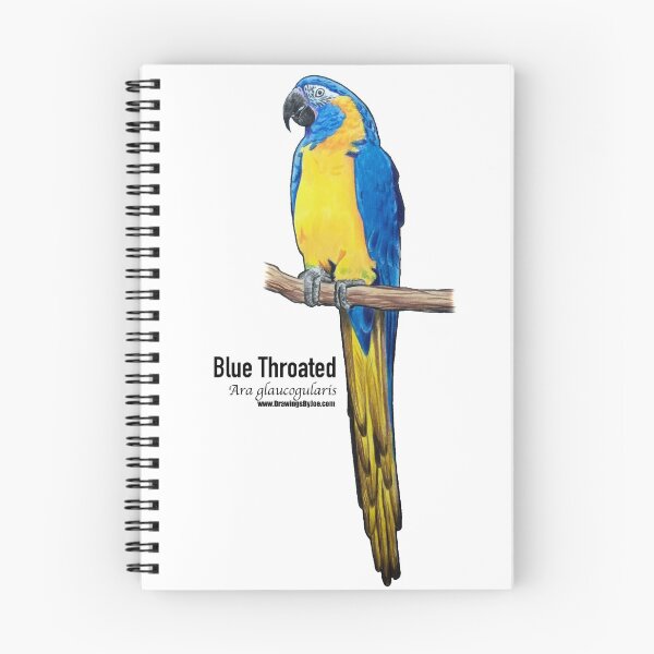 Item preview, Blue Throated Macaw designed and sold by Joe Richichi.