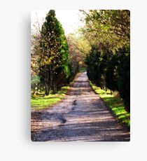 Country Lane Canvas Print