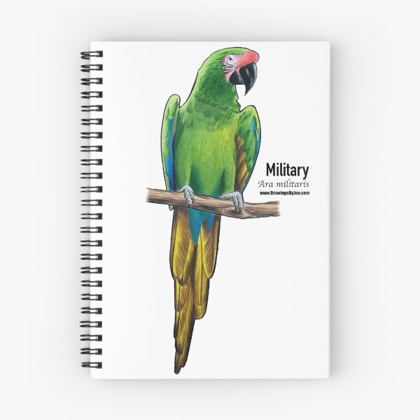 Item preview, Military Macaw designed and sold by Joe Richichi.