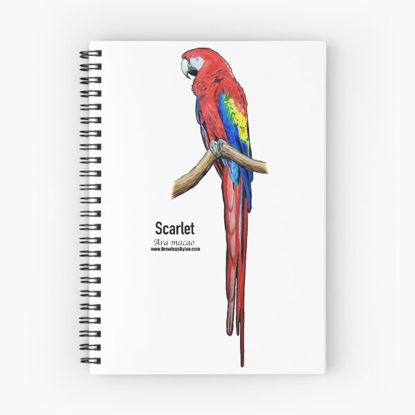 Item preview, Scarlet Macaw designed and sold by Joe Richichi.