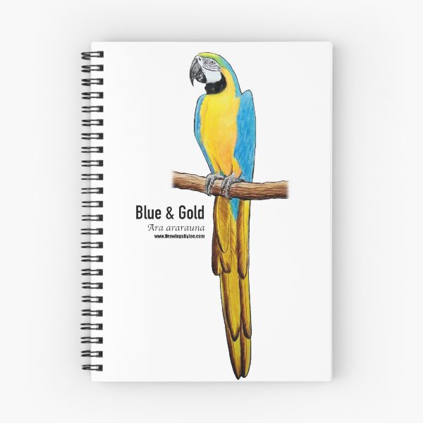 Item preview, Blue and Gold Macaw designed and sold by Joe Richichi.