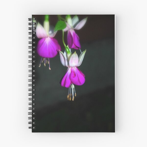 Item preview, Fuschia... designed and sold by LindaR.