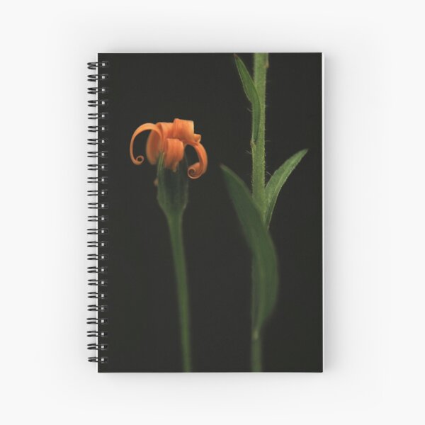 When I Grow Up Spiral Notebook