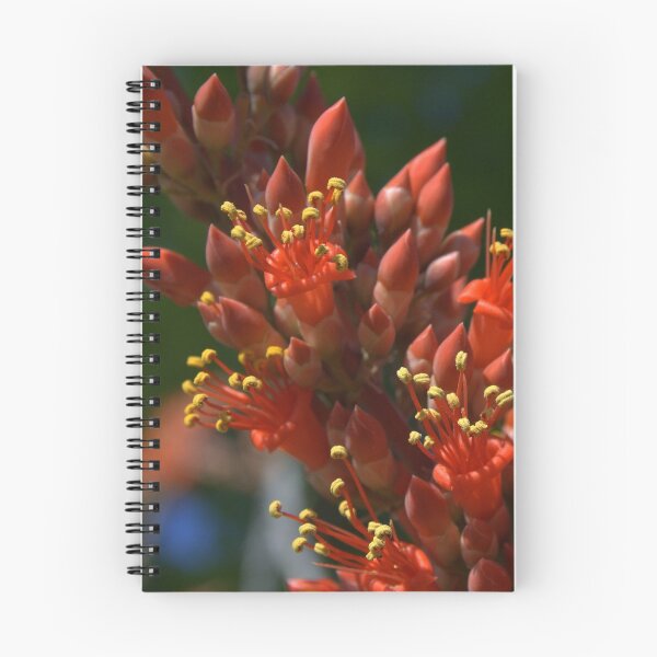 Item preview, Ocotillo - A desert plant designed and sold by Debbie Irwin.
