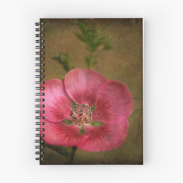 Item preview, sphaeralcea designed and sold by Lorraine Creagh.