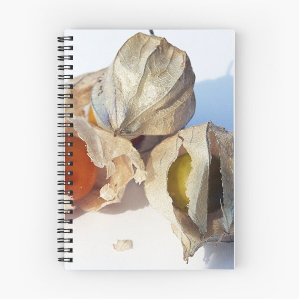 Aperçu de l'œuvre Cape Gooseberry créée et vendue par HippyDi.