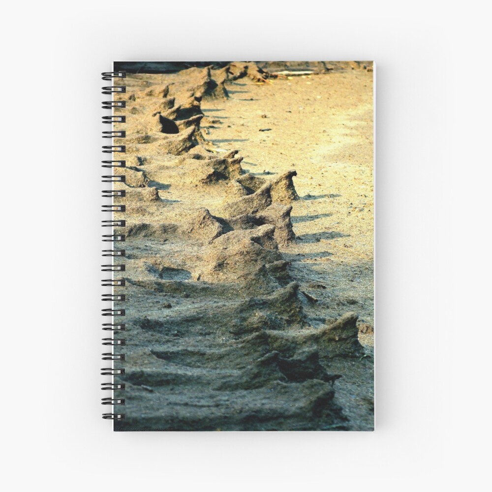 Item preview, Spiral Notebook designed and sold by alvinsan9.