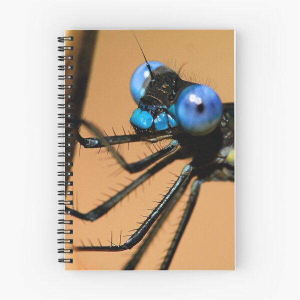 Item preview, Lil' Blue Eyes - - Archilestes grandis  (Great Spreadwing damselfly) designed and sold by Dennis Jones - CameraView.