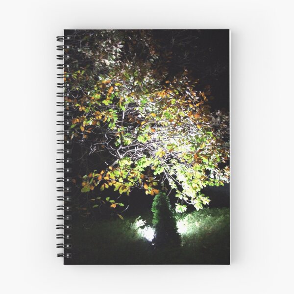 Aperçu de l'œuvre Night Tree créée et vendue par Sharon McRae.