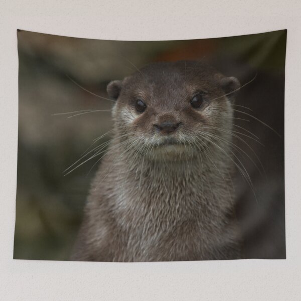Item preview, Curious Otter designed and sold by rawshutterbug.