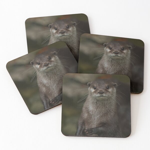 Item preview, Curious Otter designed and sold by rawshutterbug.