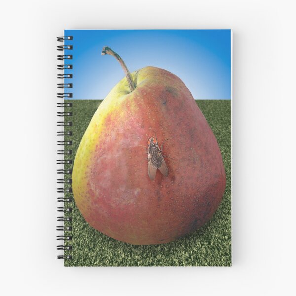 Item preview, The Pear and the Fly designed and sold by Yuri Lev.