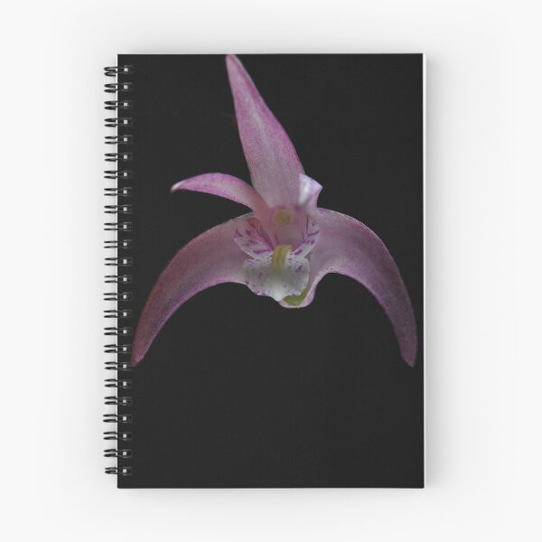 Artikelvorschau, Orchid in space entworfen und verkauft von Steve Woodman.