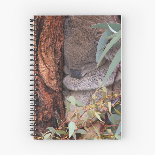 Item preview, Koala designed and sold by BenHughes.