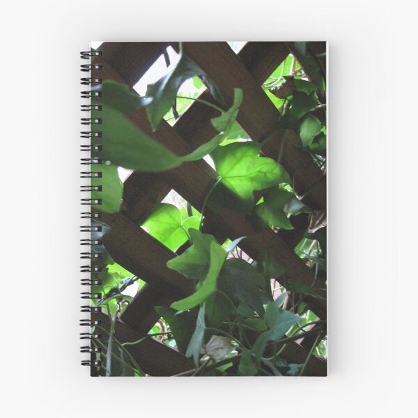 Item preview, LIGHT THROUGH LEAVES designed and sold by umauma.