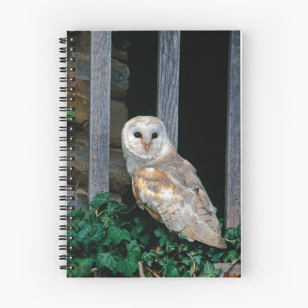 Item preview, Barn Owl designed and sold by Simon Coates.