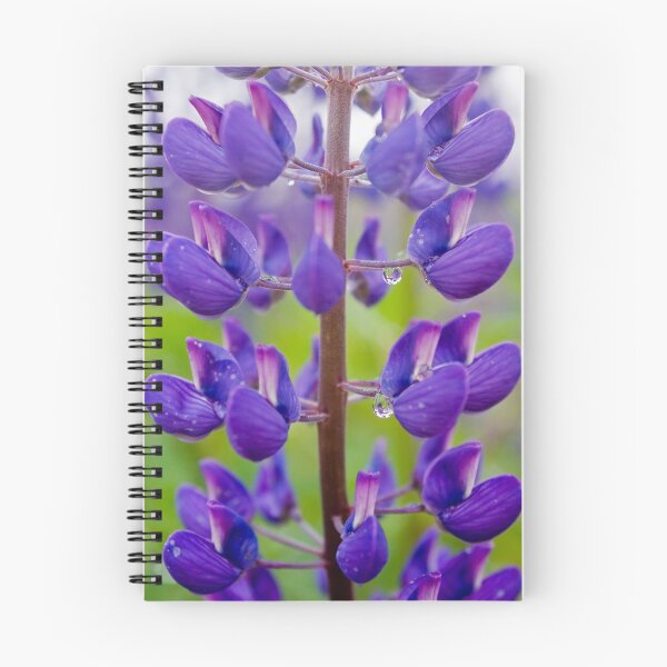 Item preview, Lupine designed and sold by Troy Dodds.