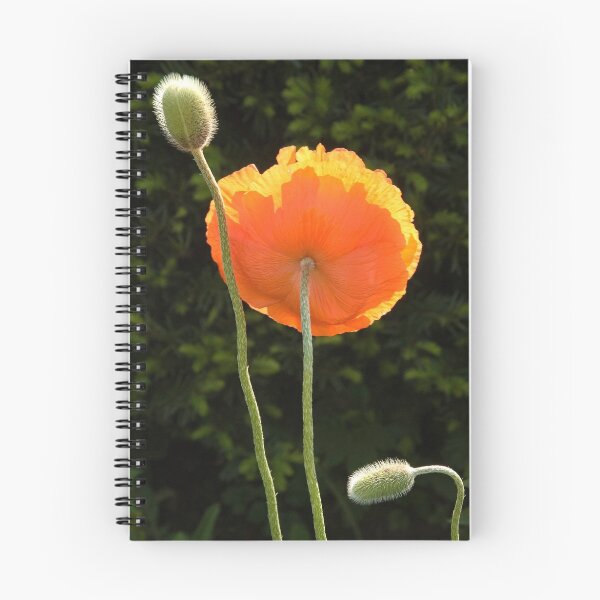 Item preview, Poppy designed and sold by Troy Dodds.