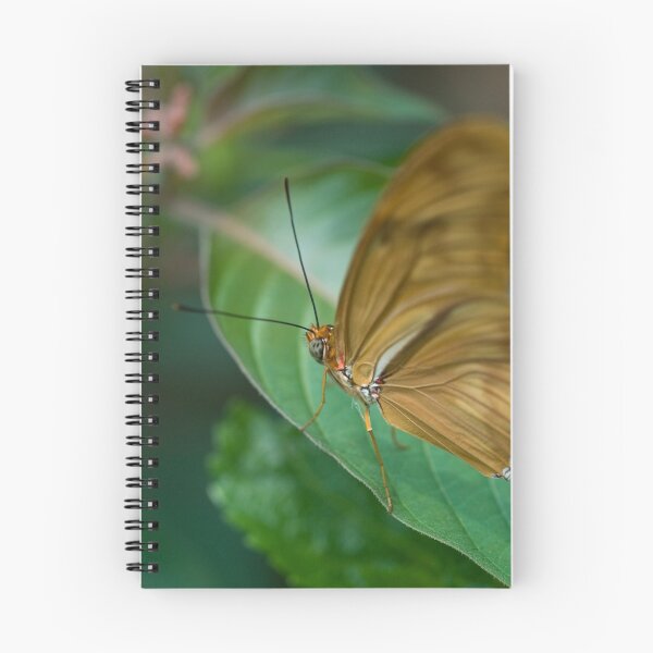 Item preview, coppertone designed and sold by jude walton.