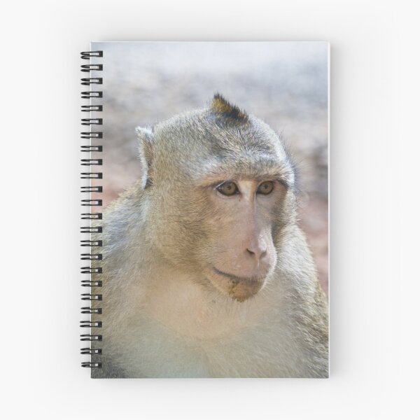 Item preview, Content designed and sold by Matthew Stewart.