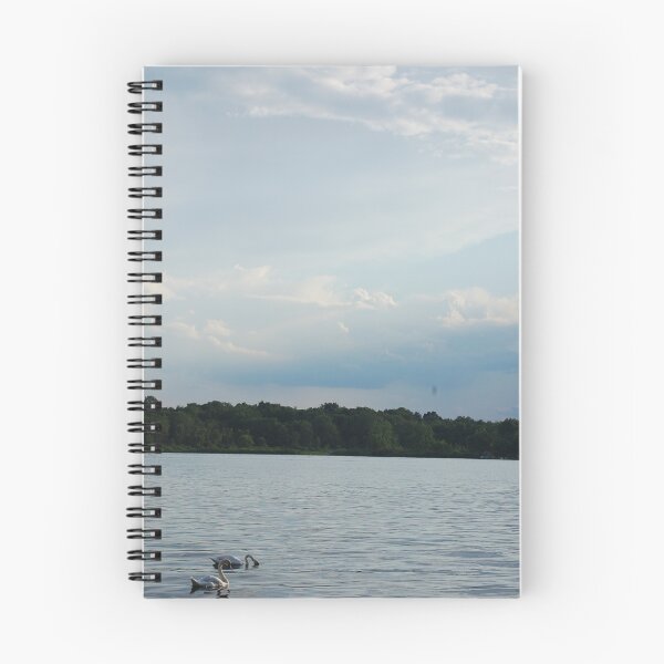 Item preview.