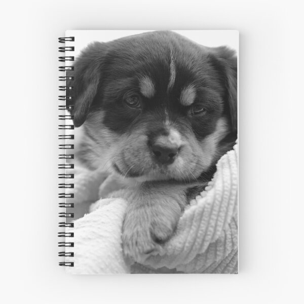Item preview, Puppy Love designed and sold by Naomi Clarke.
