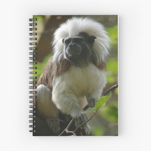 Item preview, Cotton Top Tamarin designed and sold by cml16744.