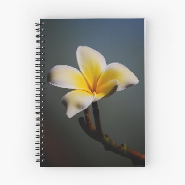 Item preview, Softly designed and sold by Pamela Hubbard.