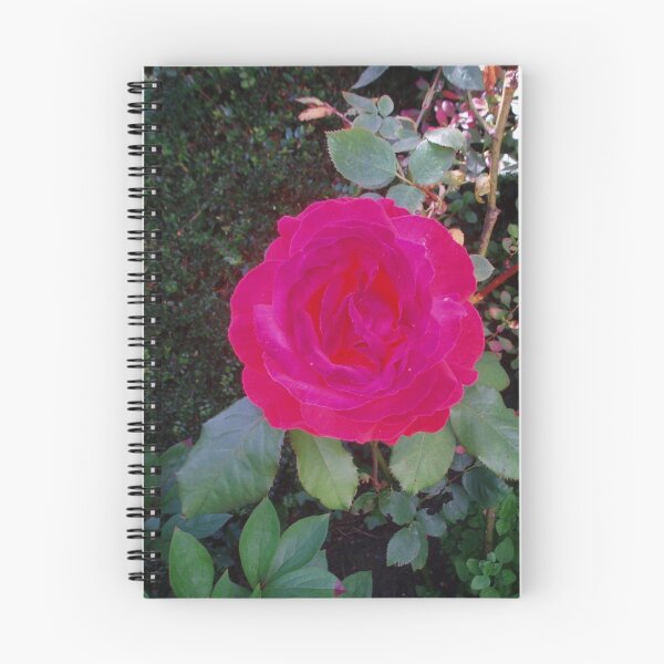 Aperçu de l'œuvre Red As A Rose créée et vendue par Trainman.