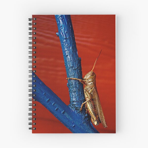 Item preview, Grasshopper designed and sold by Pamela Hubbard.
