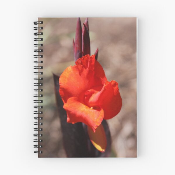 Item preview, Red Dahlia  designed and sold by Deborah  Allen.